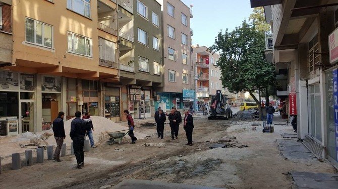 Başkan Özdemir Peyzaj Çalışmalarını İnceledi