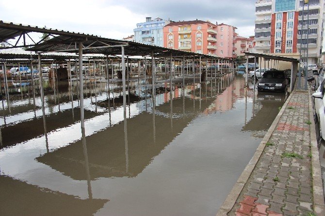 Çarşamba’da Sağanak Sonrası Ev Ve İş Yerlerini Su Bastı
