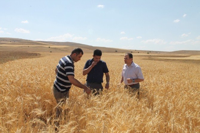 Anıza Ekim Bayburt Çiftçisinden Geçer Not Aldı