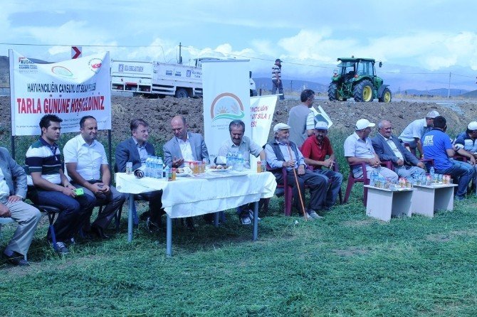 Bayburt Çiftçisi 