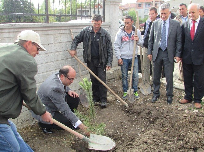 Eğitim Öğretime Yeni Başlayan Atatürk İlköğretim Okulu Bahçesine 45 Fidan Dikildi