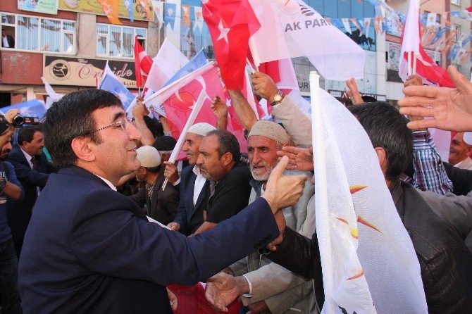 Başbakan Yardımcısı Yılmaz Bingöl’de