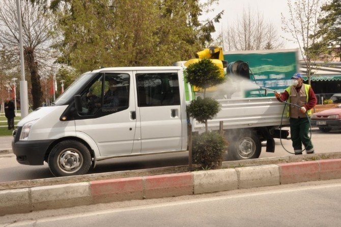Bolu’da Sinek Ve Haşere İlaçlamaları Yapılıyor