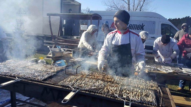 Bolu Ordulular Derneği’nden Hamsi Balık Festivali