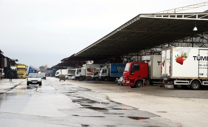 Sivri Biber, Patlıcan Ve Salatalığa Düşük Üretim Zammı Kapıda