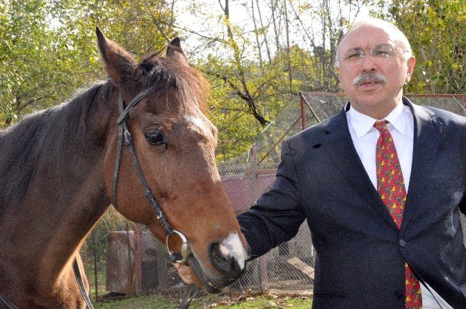 Doğu Karadeniz’in İlk Atlı Spor Kulübü Giresun’da Kuruldu
