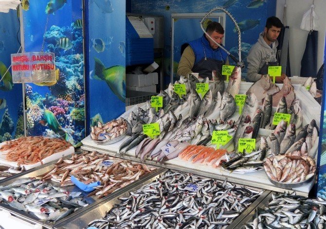 Marmara’da Balık Bereketi