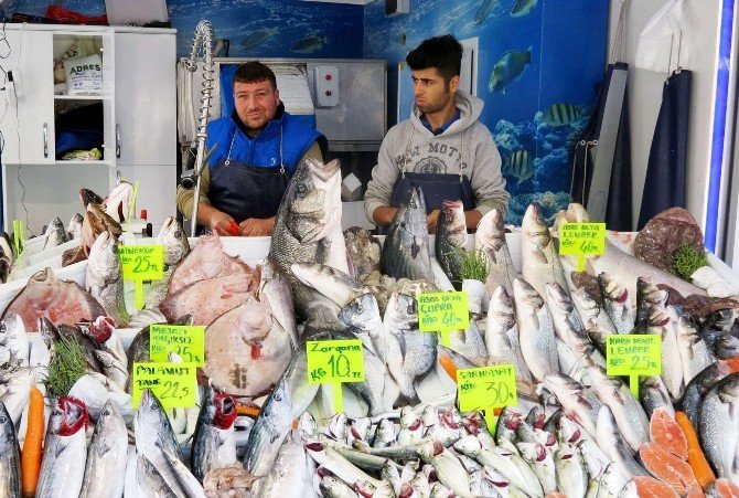 Marmara’da Balık Bereketi