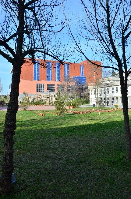 Bülent Ecevit Üniversitesi’nin Mezun Sayısı 46 Bine Yaklaştı