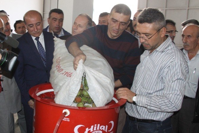 Büyükşehir’den İnegöl Köylerine Ceviz Soyma Makinesi