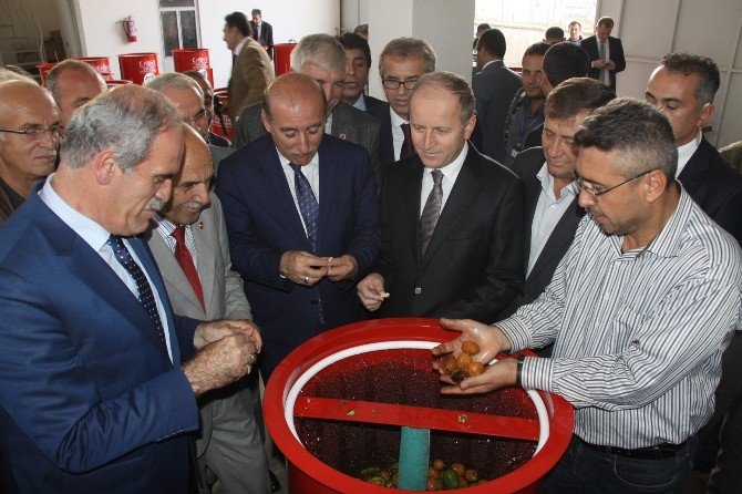 Büyükşehir’den İnegöl Köylerine Ceviz Soyma Makinesi