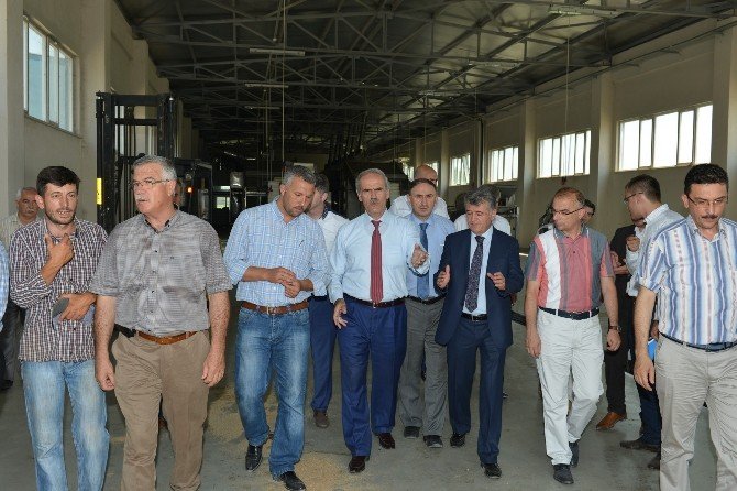 Çiftçinin Ürünü Yeni Tesislerle Değer Kazanacak