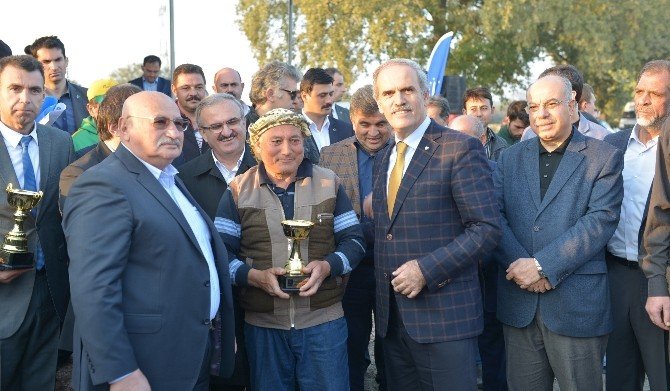 Rahvan Atları Koşusu’nda Ödüller Sahiplerini Buldu
