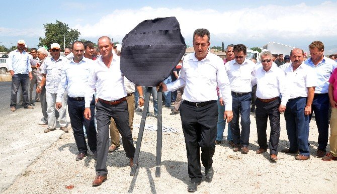 Çiftçi, Yüzde 50 Düşen Domates Fiyatlarına Siyah Çelenkle Tepki Gösterdi