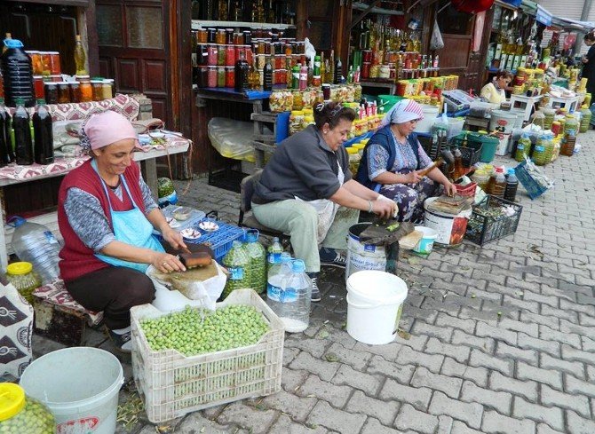 Tirilye’de Yeşil Zeytin Zamanı