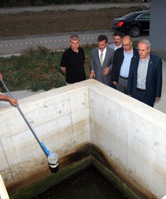 Arıtılan Atık Sular İle Tarla Sulanacak
