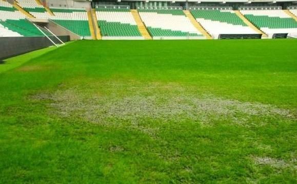 Timsah Arena Göle Döndü