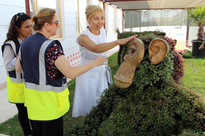 Senegal Büyükelçisi Arı, Afrika’ya Expo’yu Anlatacak