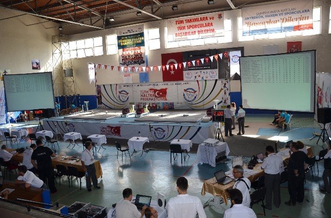 Halter Şampiyonası Nazilli’de Start Aldı