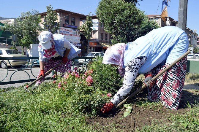 Sonbahar Çiçekleri Ekilen Refüjler Kenelere Karşı İlaçlanıyor