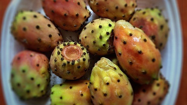 Dikenli İncirdeki Gizli Tehlike