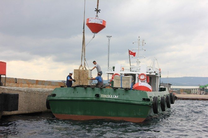 Çanakkale Boğazı’nda Sualtı Biyo Çeşitliliği Korunacak