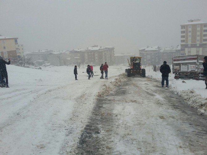 Canik’te Sokak Hayvanları Unutulmadı