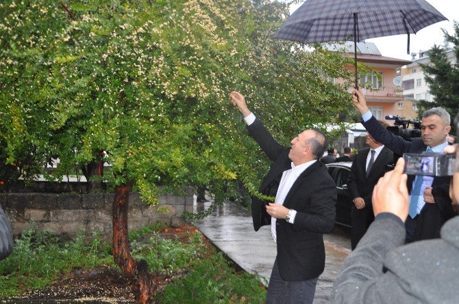 Çavuşoğlu Antalya’da Muhtarlarla Bir Araya Geldi