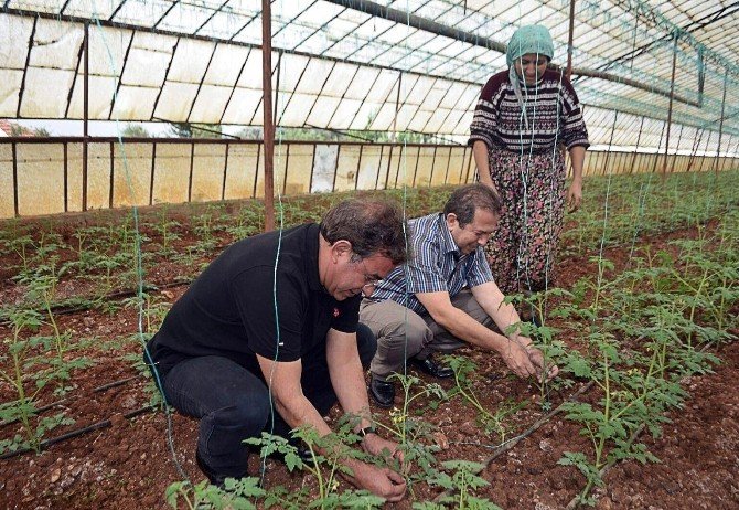 Budak: "Rusya Krizi, Siyasi Afet Halidir"