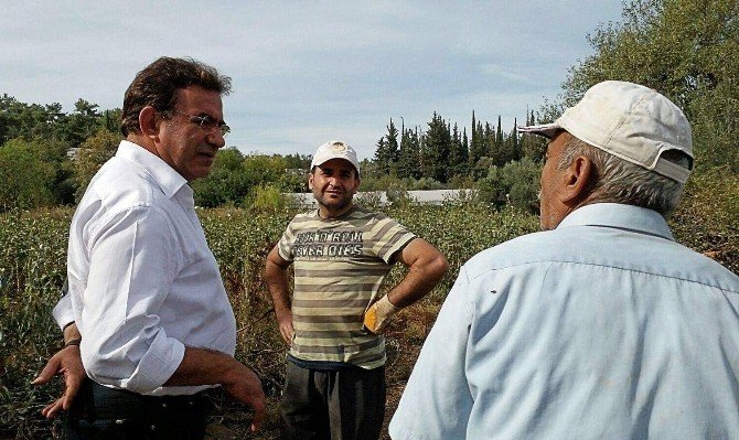 Budak: "Rusya Krizi, Siyasi Afet Halidir"