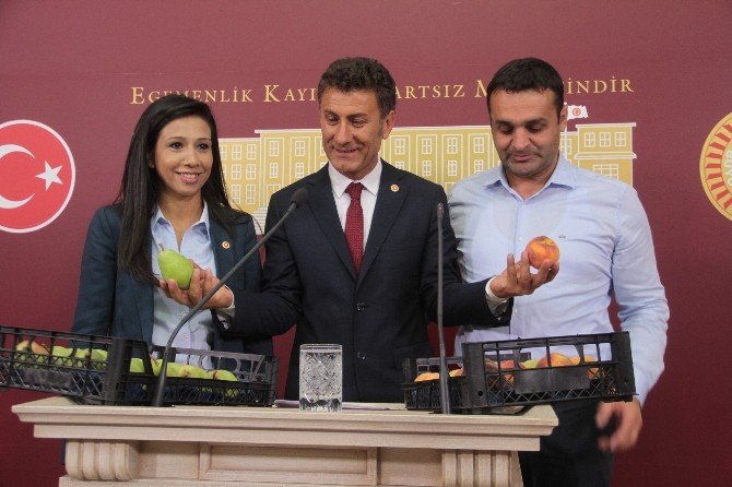 Meclis’te Şeftali Ve Armutlu Termik Santral Açıklaması