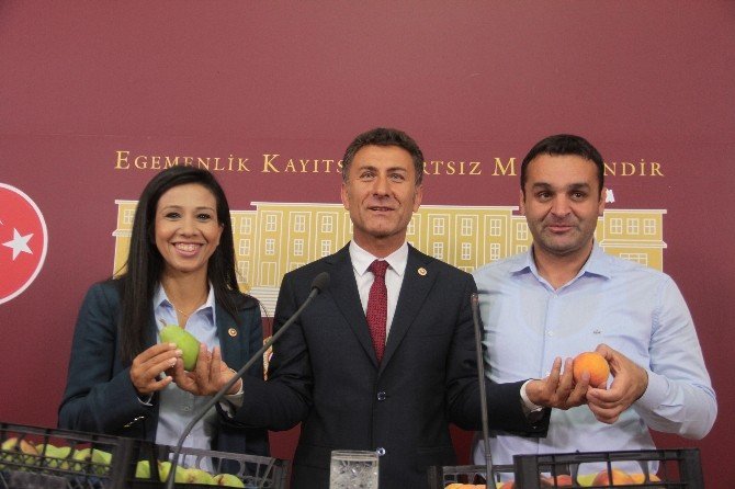 Meclis’te Şeftali Ve Armutlu Termik Santral Açıklaması