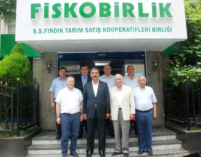 Giresun’da Chp’den Fiskobirlik’e Ziyaret