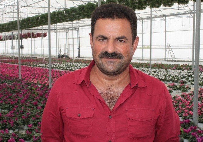 Çiçek Üreticileri Artık Bir Birine Rakip Değil