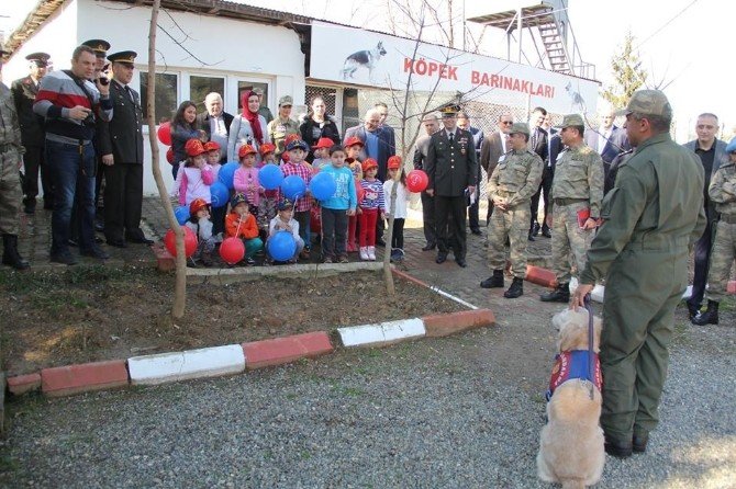 Giresun’da “Bilinçli Çocuk, Güvenli Gelecek” Eğitim Projesi