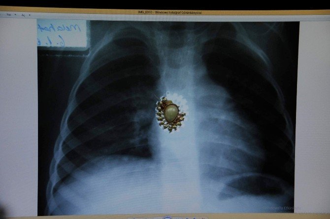 36 Yıllık Doktorun Sıra Dışı Koleksiyonu