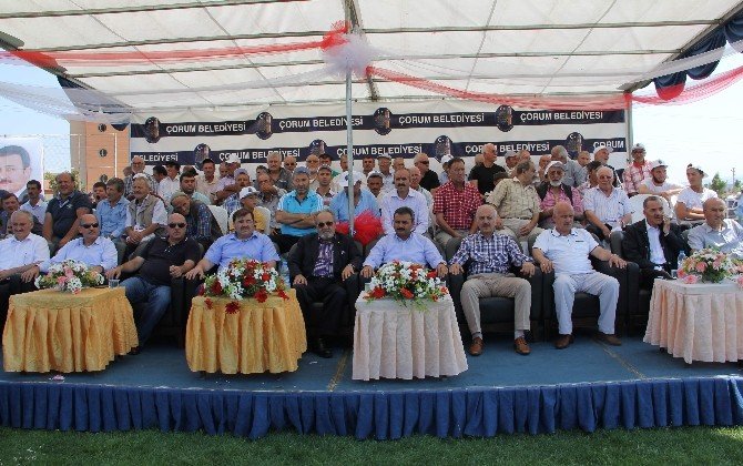 Çorum’daki Güreşler Kırkpınar’ı Aratmadı