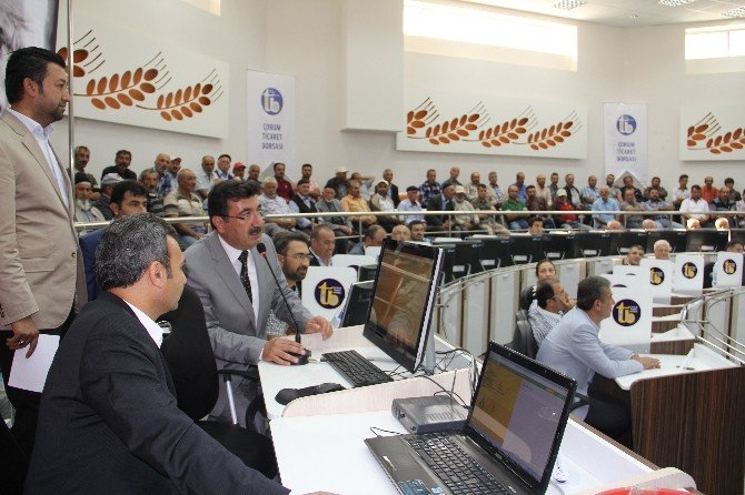 Çorum Ticaret Borsası 2015 Yılı Hububat Sezonu Açıldı