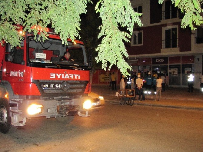 Çorum’da Sinek Alarmı
