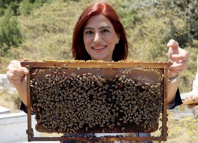 Bu Bölüme Gelen Her Öğrenciye Bir Arı Kolonisi Veriliyor