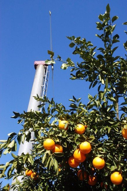 Narenciye Bahçeleri Don Kırıcı Rüzgar Pervaneleriyle Korunuyor