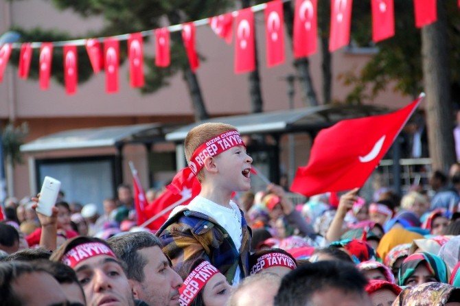 Cumhurbaşkanı Recep Tayyip Erdoğan: