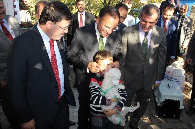 Cumhurbaşkanı Erdoğan, Hayvansever Minik Ömer Faruk’a Köpek Hediye Etti