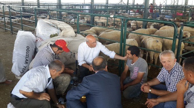 Kurban Pazarlığında Milletvekili Aracı Oldu