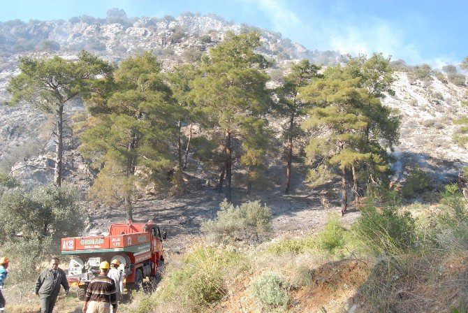 Dalaman’da Orman Yangını