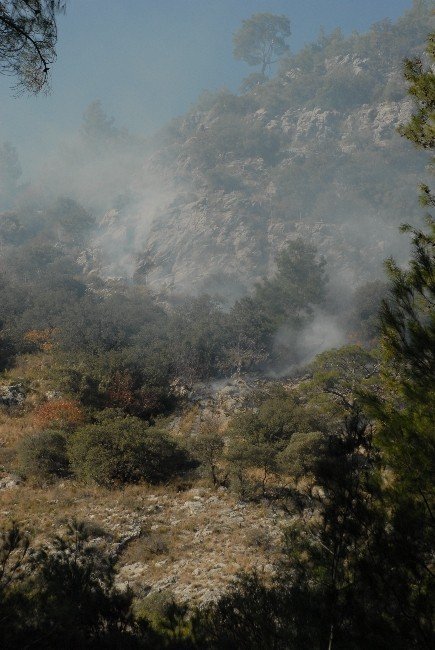 Dalaman’da Orman Yangını