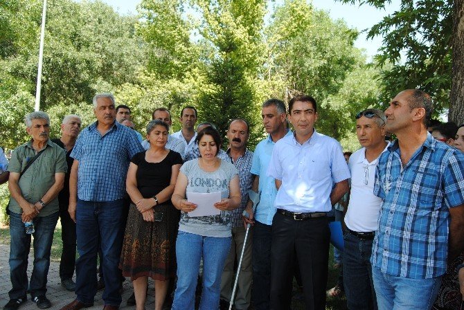 Danıştay’dan Hes Projesi Raporu