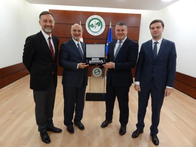 Deik’ten Gürcistan Çıkarması