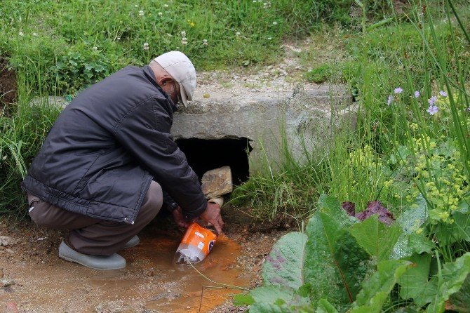 Giresun’un Tamdere Köyündeki Acısu Şifa Arayan Hastaların Uğrak Yeri