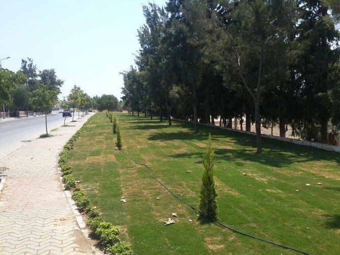 Didim Belediyesi’nden Peyzaj Ve Yeşillendirme Çalışması